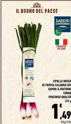Conad Conad cipolla rossa di tropea calabria igp sapori & dintorni offerta