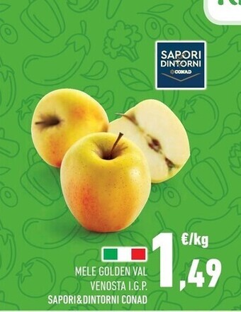 Conad Mele golden offerta