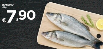 Bennet Branzino offerta
