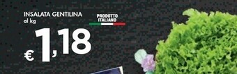 Bennet Insalata gentilina offerta