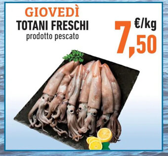 Conad Totani Freschi offerta