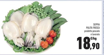 Conad Seppia Pulita Fresca offerta