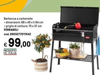 Ferraboli barbecue a carbonella