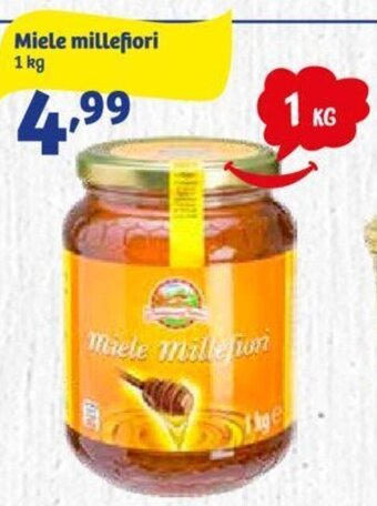 In'S Mercato Miele millefiori 1 kg offerta
