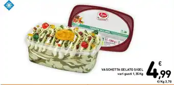 Spazio Conad Sigel Vaschetta Gelato vari gusti 1,35 kg offerta