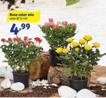 In'S Mercato Rose color mix vaso ø 14 cm offerta