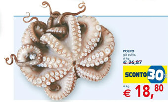 Esselunga Polpo già pulito offerta