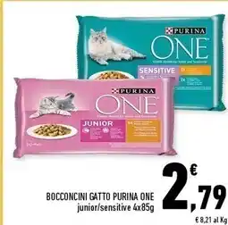 Conad Superstore Purina bocconcini gatto one offerta