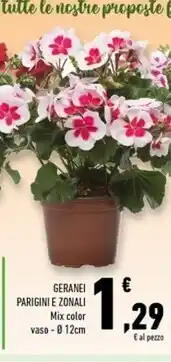Geranei parigini e zonali