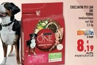 Conad Superstore Purina croccantini per cani one offerta