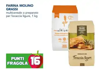 Esselunga Molino Grassi Farina 1 kg offerta