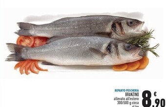 Conad Superstore Branzino offerta