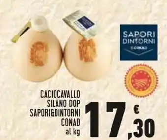Conad Conad Sapori & Dintorni Caciocavallo Silano DOP offerta