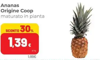 Coop Coop Origine Ananas offerta