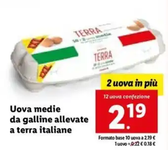 Lidl Uova medie da galline allevate a terra italiane 12 uova offerta