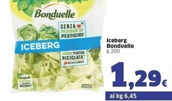 Sigma Bonduelle iceberg offerta