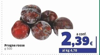 Sigma Prugne rosse offerta