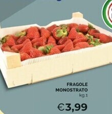 Mercatò Fragole monostrato offerta