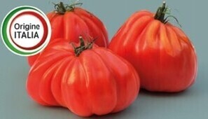 Mercatò Pomodoro cuore di bue offerta