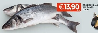 Mercatò Branzino 4/6 allevato italia offerta