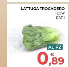 Eté Lattuga trocadero offerta
