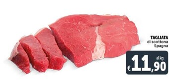 Gourmet Déco Tagliata offerta