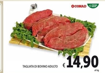 Spazio Conad Tagliata di bovino adulto offerta