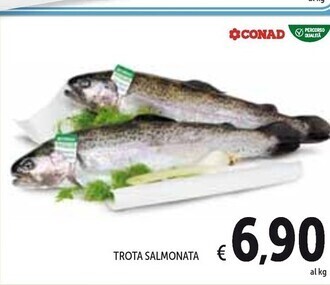 Spazio Conad Trota salmonata offerta