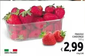 Spazio Conad Fragole candonga offerta