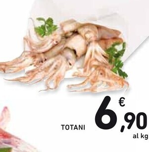 Spazio Conad Totani offerta