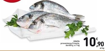 Spazio Conad Orata offerta