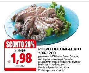 Il Gigante Polpo decongelato offerta