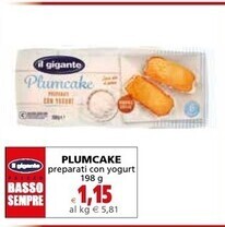 Il Gigante Il gigante plumcake offerta