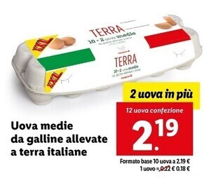 Lidl Uova medie da galline allevate a terra italiane offerta