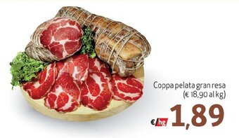 Maxi Family Coppa pelata gran resa offerta