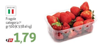 Maxi Family Fragole gr 500 offerta