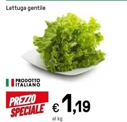 Iper La Grande Lattuga gentile offerta
