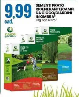 Euro garden sementi prato rigenerante/campi da gioco/giardini in ombra