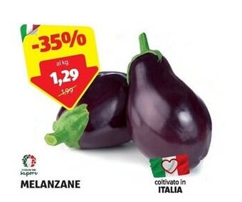ALDI I colori del sapore melanzane offerta