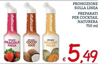 Zona Naturera preparati per cocktail offerta