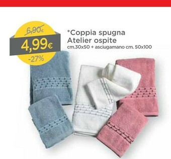DPiù Coppia Spugna Atelier Ospite offerta