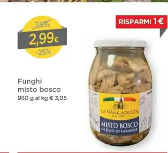 DPiù La vangadizza Funghi Misto Bosco offerta