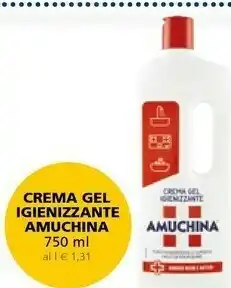 Il Gigante Amuchina Crema Gel Igienizzante offerta