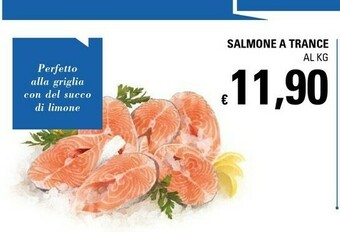 Basko Salmone A Trance offerta