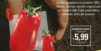 Basko Pomodoro Perino offerta