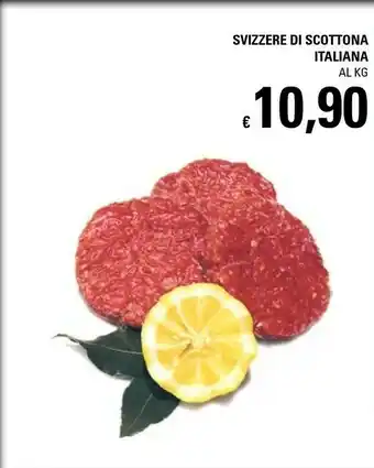 Basko Svizzere Di Scottona Italiana offerta