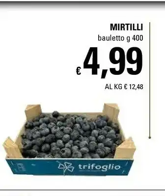 Basko Mirtilli Bauletto offerta