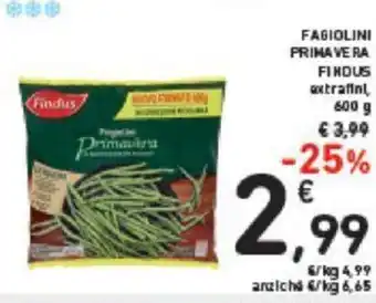 Conad Findus Fagiolini Primavera 600 g offerta