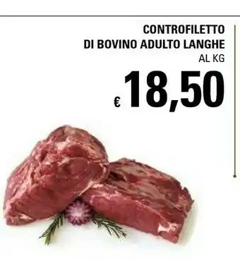 Basko Controfiletto Di Bovino Adulto Langhe offerta