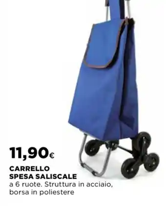 Carrello Spesa Saliscale